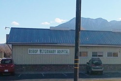 vet in bishop, california