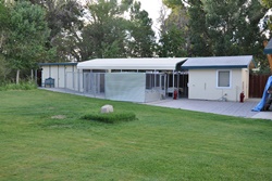 doggy daycare in mammoth, california