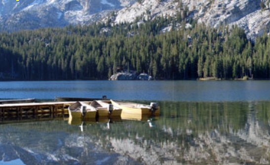 mammoth lakes pet friendly