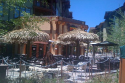 pet friendly restaurant in mammoth, california