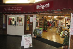 doggy daycare in mammoth, california